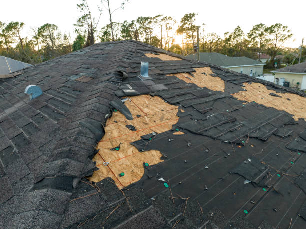 Best Gutter Installation and Repair  in Lake Los Angeles, CA