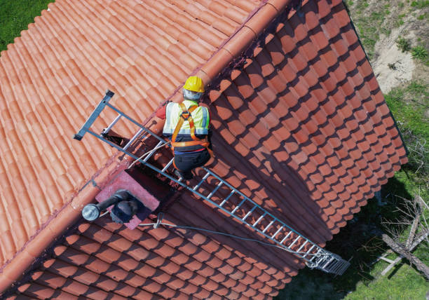 Best Solar Panel Roofing Installation  in Lake Los Angeles, CA
