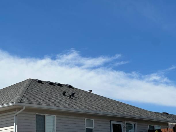 Fast & Reliable Emergency Roof Repairs in Lake Los Angeles, CA